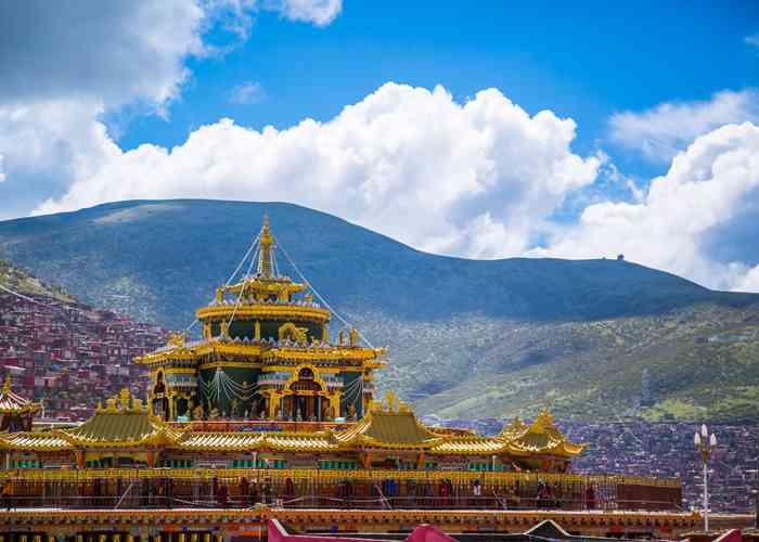 成都租辆11座蓝牌商务车，解锁全家出游新姿势！这些门道你得知道-第1张图片-成都租车公司